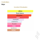 Contratipo (Haya)